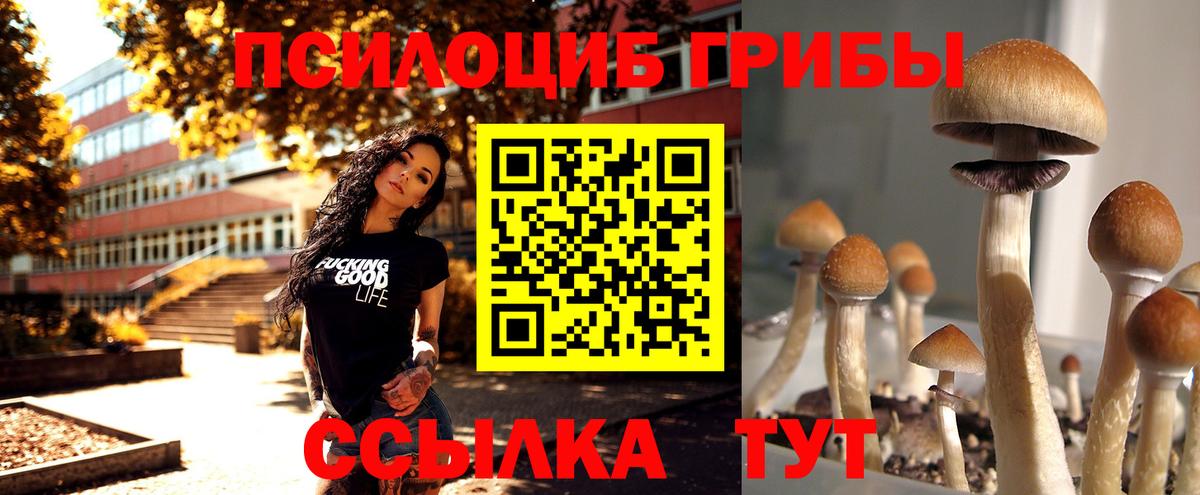 Галлюциногенные грибы GOLDEN TEACHER  Вход с VPN  купить закладку  Северодвинск 