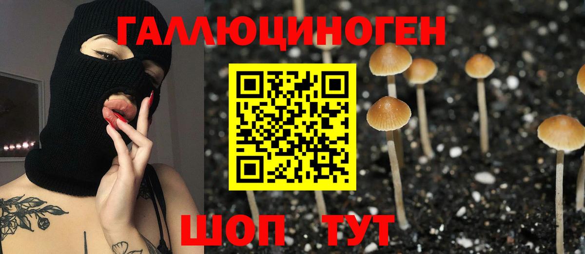 Галлюциногенные грибы GOLDEN TEACHER Северодвинск